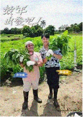 动作电影影评 经典台词赏析